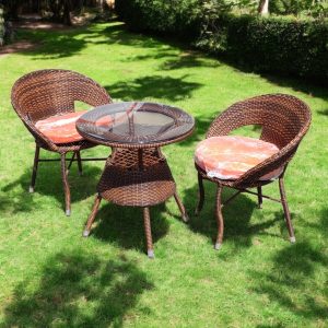 Cushioned Rattan Set