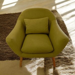 Modern Leisure Chair