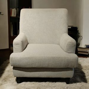 Armrest Lounge Chair