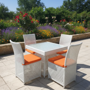 White Rattan Dining Set
